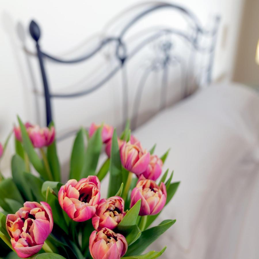 La Corte Dei Sogni B&B Μόντενα Εξωτερικό φωτογραφία